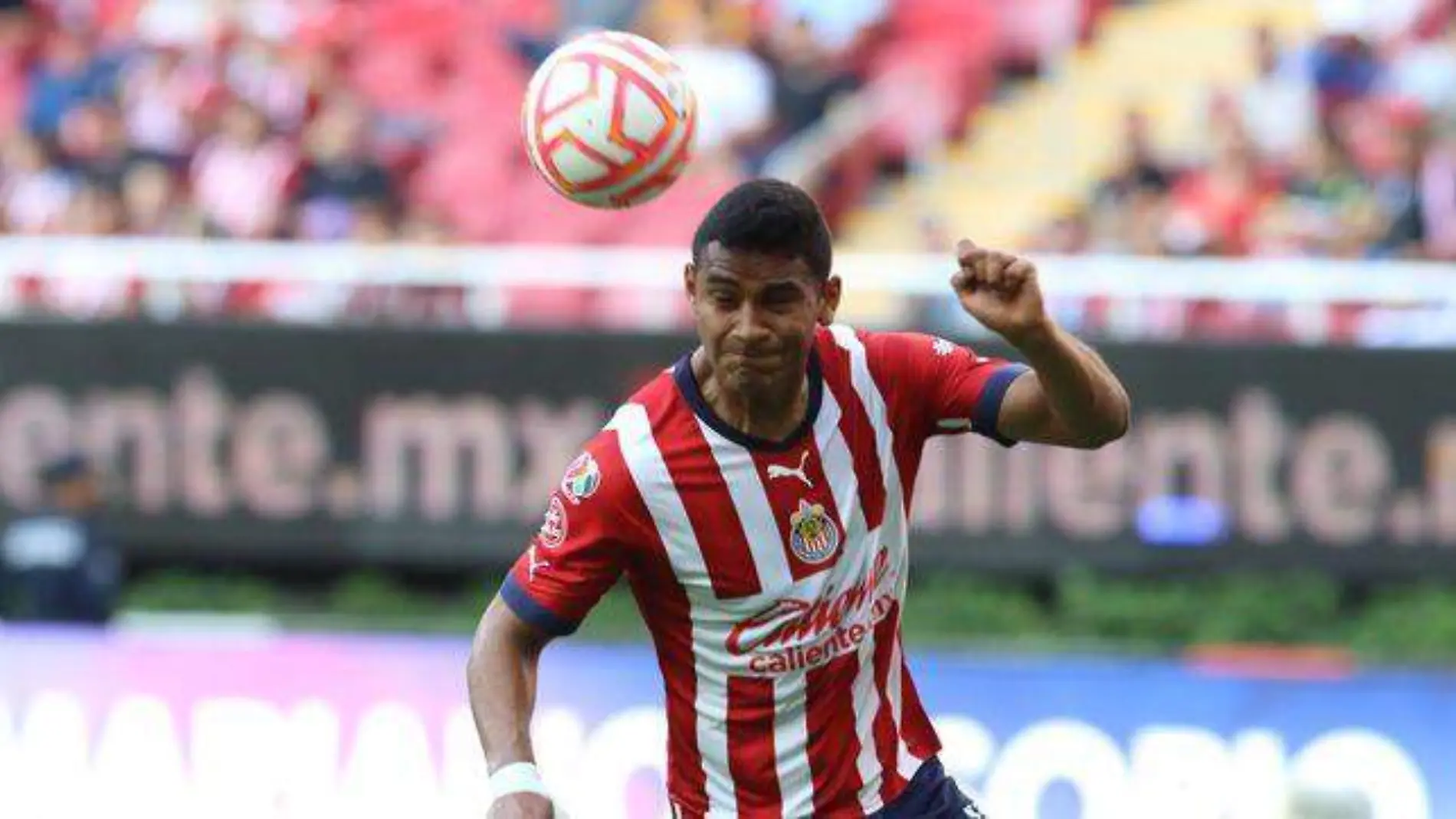 Tiba Sepúlveda con Chivas